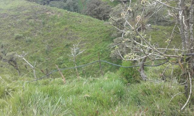 FINCA GANADERA DE 24 HECTAREAS CON CASA Y ESTABLO