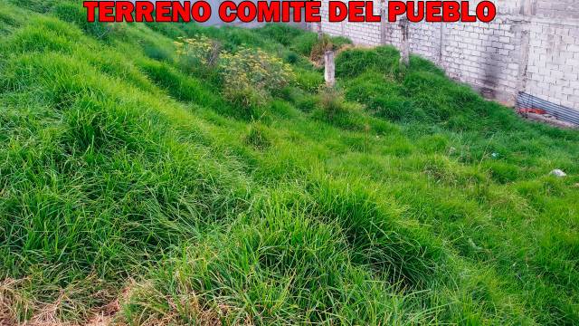 Lote de terreno en el Comité del Pueblo