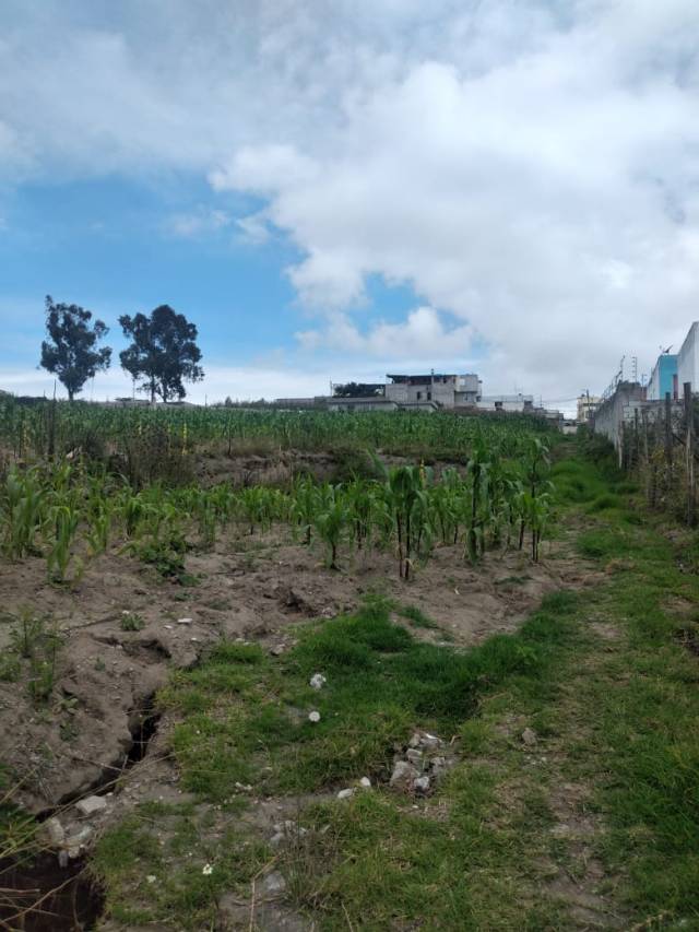 TERRENO DE AARIENDO