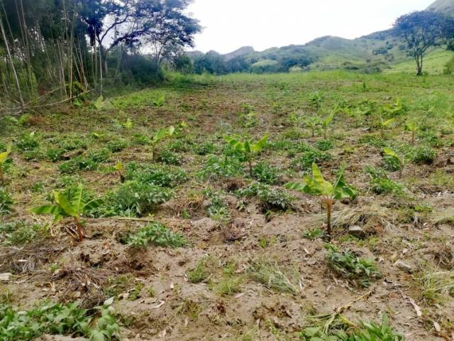 Hermoso terreno en Vilcabamba