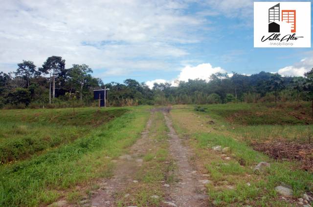 FINCA GANADERA EN CHINIMBIMI, CERCA DE SUCUA.