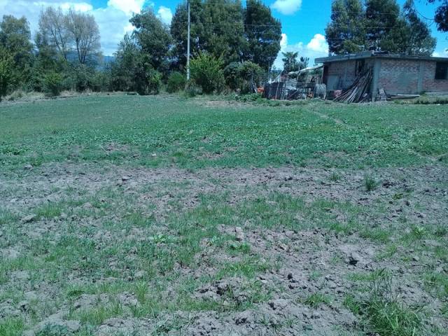 vendo lote de terreno de 600 m2 en carchi, montufar, san gabriel, canchaguano $7500 negociables.