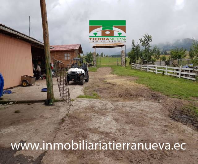 EN VENTA HACIENDA DE LUJO EN OLMEDO - CAYAMBE