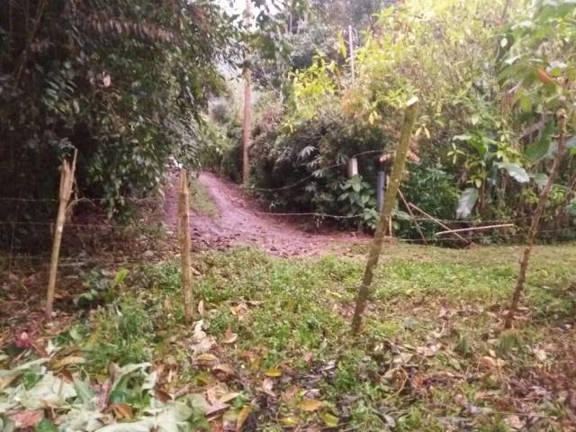 TERRENO DE OPORTUNIDAD EN MINDO CERCA AL MARIPOSARIO