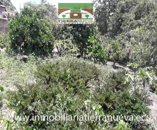 VENDO  LOTE DE TERRENO DE  3.000M2  EN CHALTURA SECTOR EL CARMEN