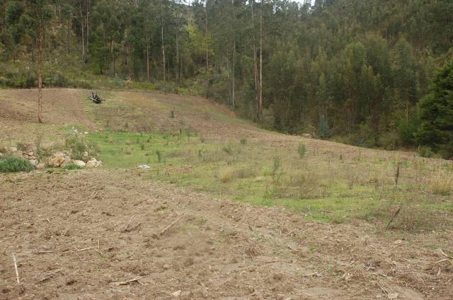 TERRENO AMPLIO EN SAN CRISTOBAL-EL DESCANSO