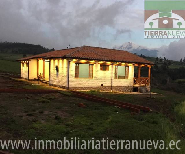 EN VENTA 4 HECTAREAS EN PESILLO- CAYAMBE