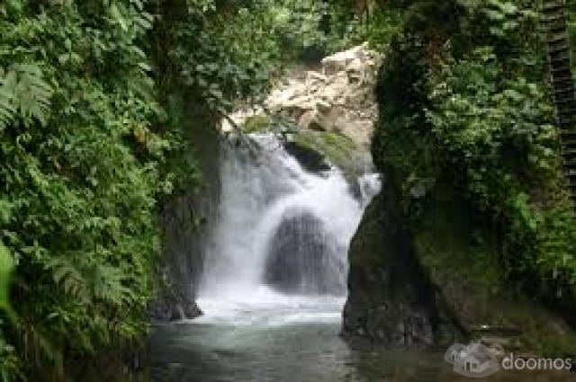 terrreno hermoso en a treinta minutos de  mindo en el rio saloya clima calindo