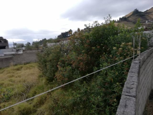 de oportunidad en ecuador vendo dos terrenos en zona tranquila EN EL SUR DE QUITO 400 METROS