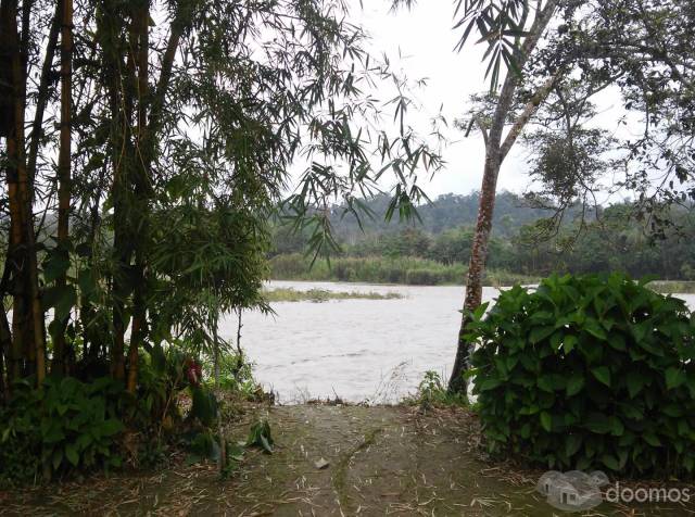 Hermosa propiedad de 8 hectáreas, colinda con el carretero a Misahuallí y con el río Napo