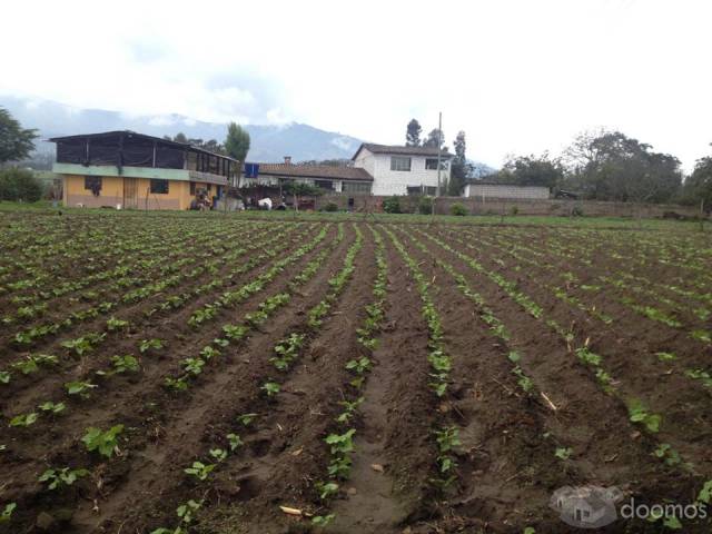 VENTA DE TERRENO YARUQUI