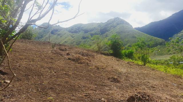 DE OPORTUNIDAD VENDO TERRENO EN ZONA DE ALTA PLUSVALIA EN BAÑOS