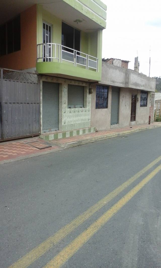 VENDO CASA CON HUERTOS