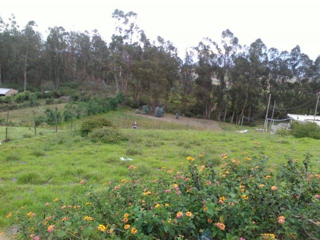 VENDO HERMOSO TERRENO ESQUINERO EN TABABELA