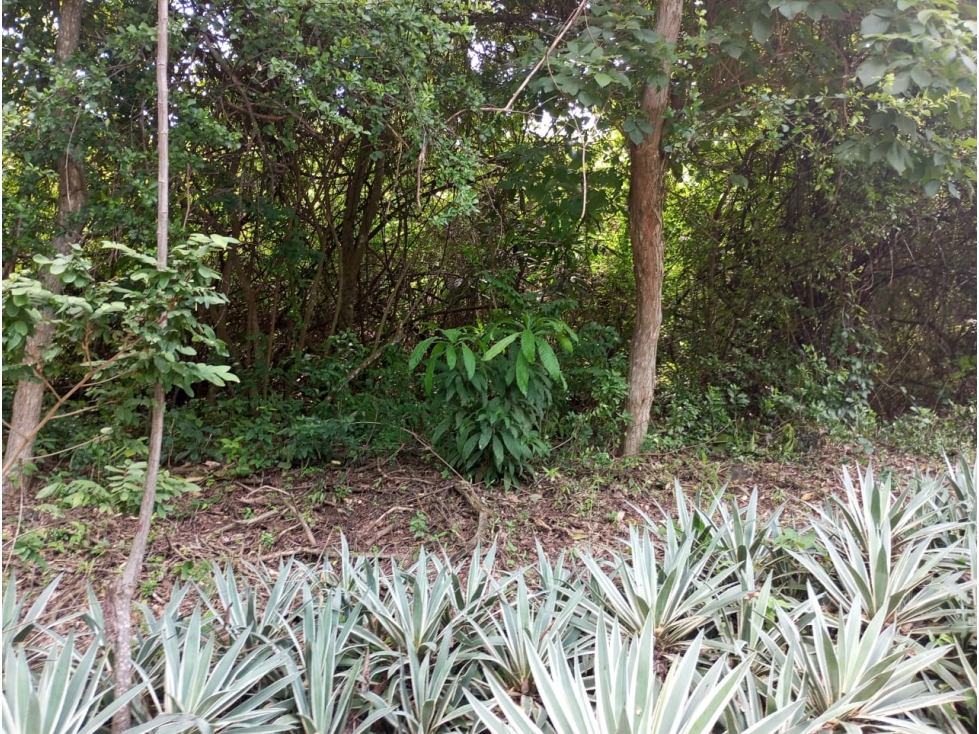 VENDO MACROLOTE EN LAGO DE CAPEIRA