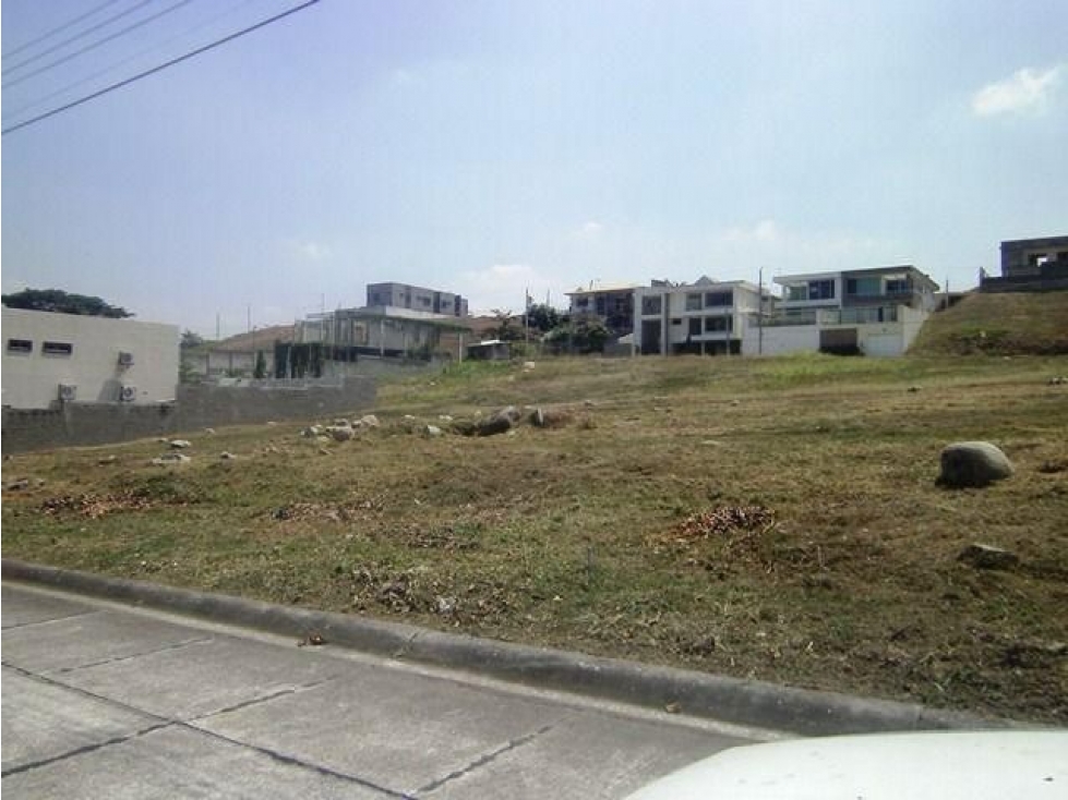 TERRENO EN EL CONDADO VICOLINCI