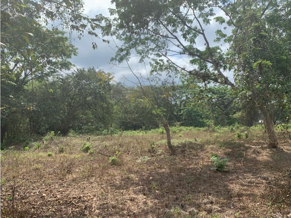 En Venta Finca de 19.55 Hectáreas vía Chone - Quito