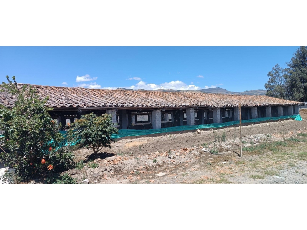 Puembo, Galpón en renta, 549 m2, granja, 1 baño