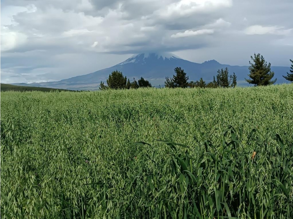 Venta Hermosa Hacienda Ganadera Latacunga 60ha, $1?850.000