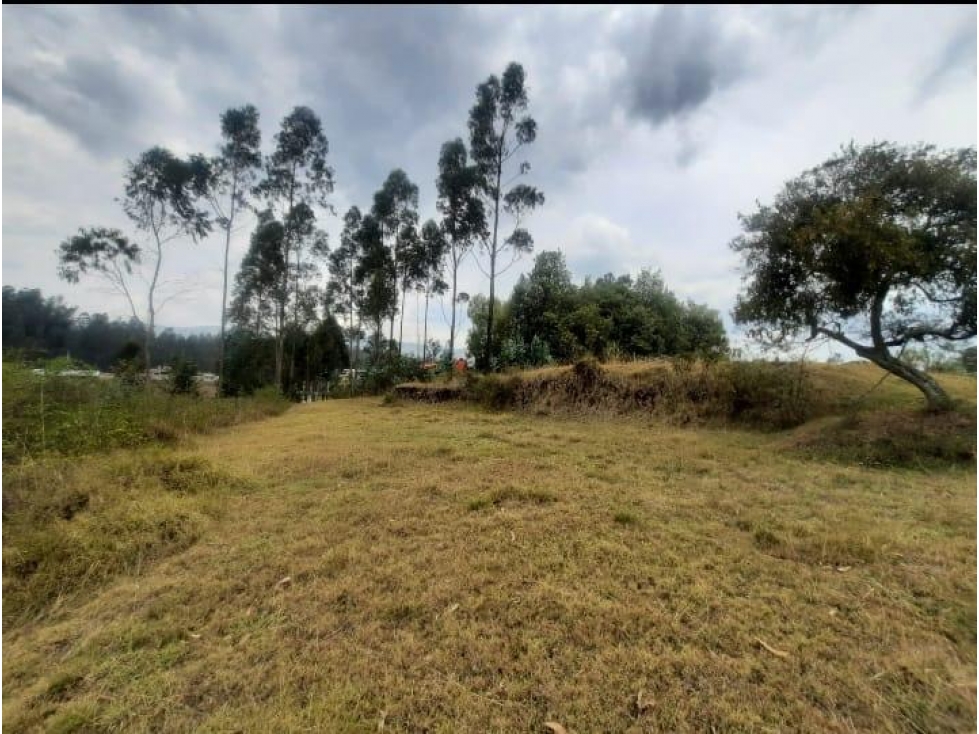 OPORTUNIDAD Terreno 3,500 m2, Alangasi $95,000 Cod 7147707