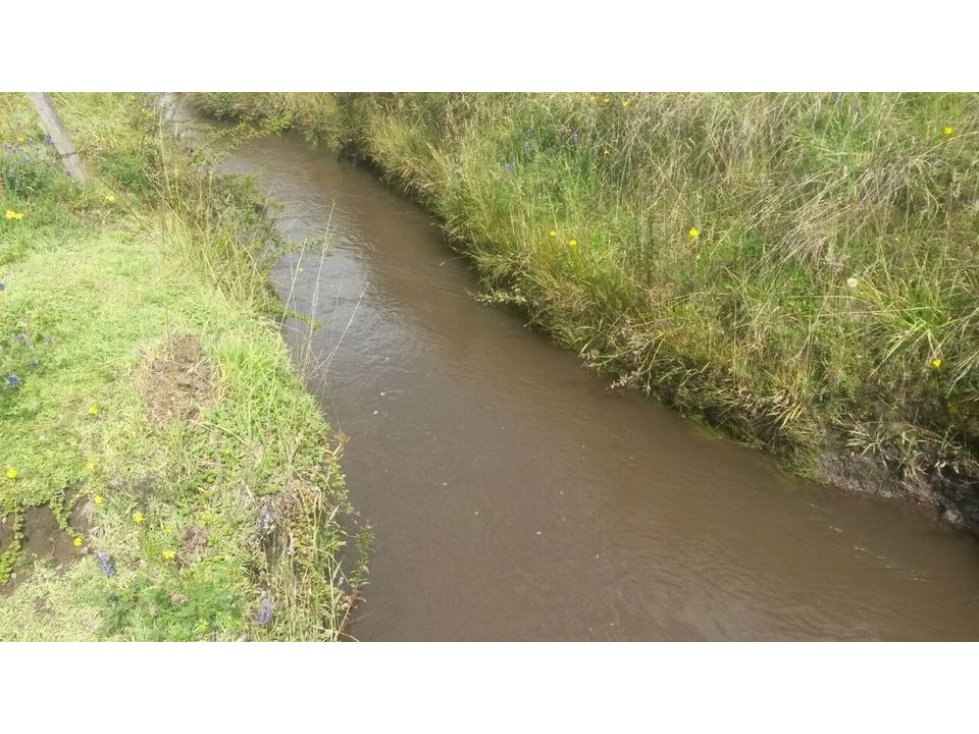 5 HECTAREAS EN CAYAMBE PARA AGRICULTURA, ROSAS Y GANADERIA