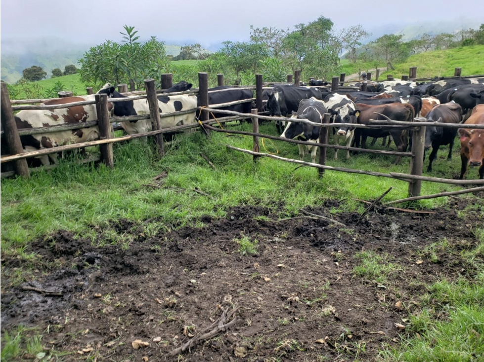 HERMOSA HACIENDA EN VENTA EN OTAVALO