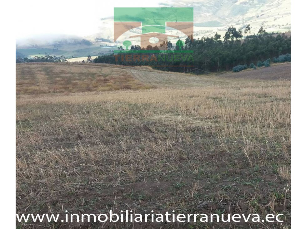 EN VENTA 5 HECTÁREAS EN LLANOS DE ALBA