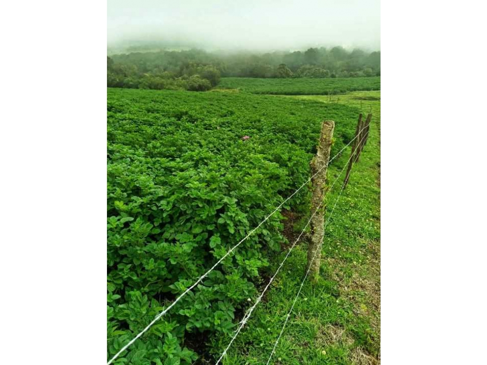 ? ¡Gran oportunidad en Otavalo! ??? ¡Se venden 60 hectáreas