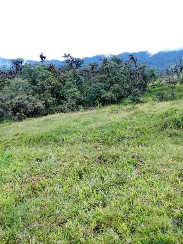 Se vende de oportunidad Hermosa Finca en el Napo