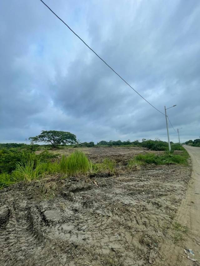 VENDO TERRENOS LOTALIZADOS EN MANABI COJIMIES